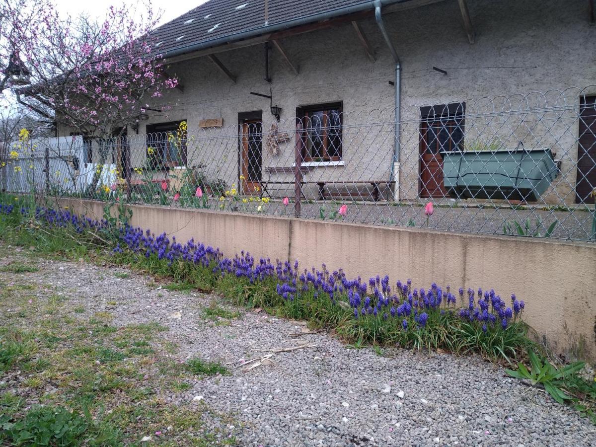 Ferienwohnung chez Domi Syl gite nature Colonne Exterior foto